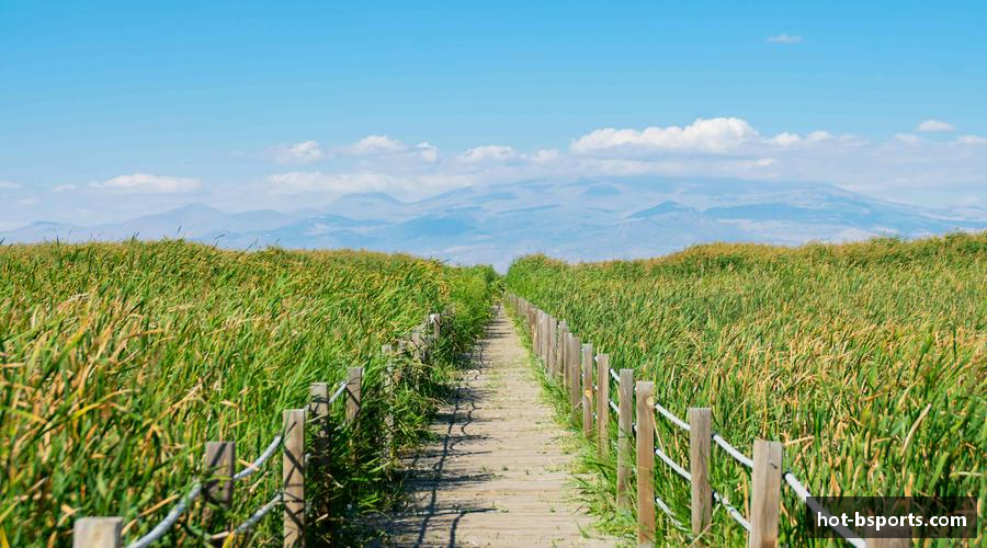 B体育-B体育亚洲官方网站-BSPORTS